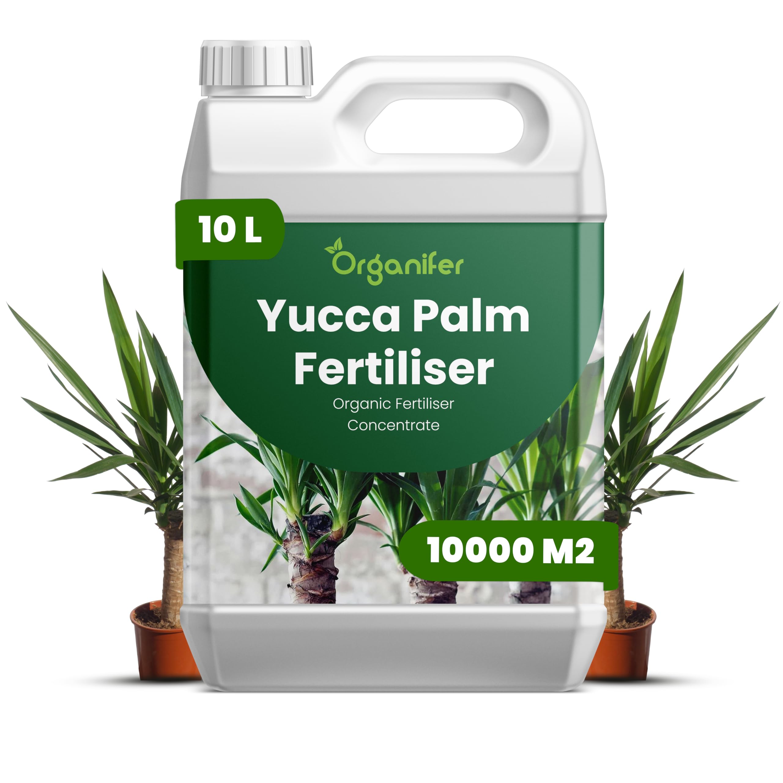 Flüssigdünger Für Yucca-Palmen - 10L - NPK 2-1-8 | Dünger Für Gesundes Wachstum Und Starke Pflanzen - Fördert Wurzeln Und Widerstandskraft - Organifer