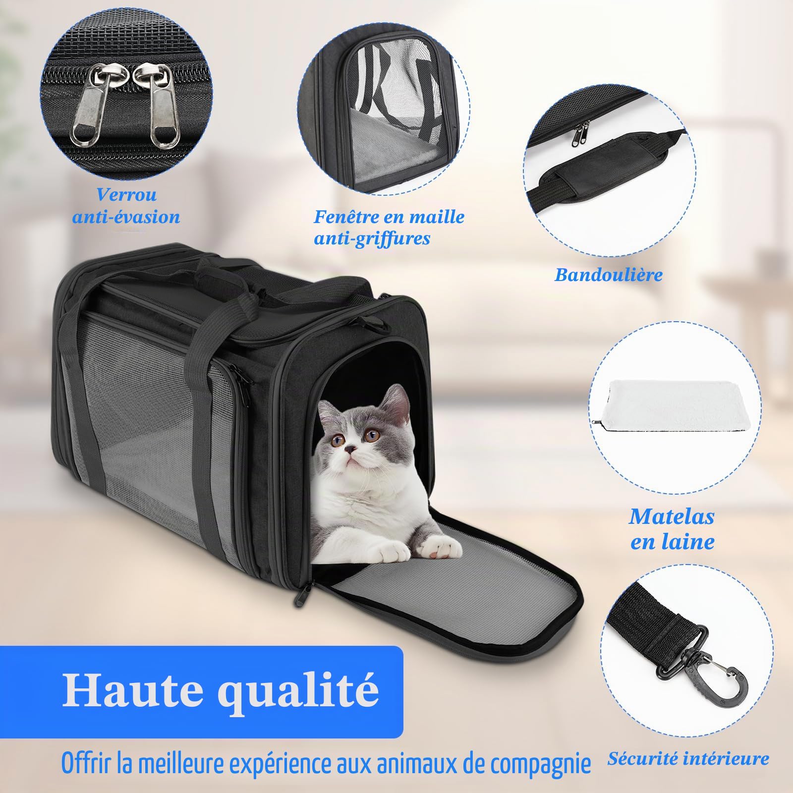 45x30x30 cm Sac de Transport pour Chat d'Extérieur Pliable et Respirant, Caisse de Transport Chat avec Matelas Souple, Sac Chat Transport pour Chat et Chien Voyage en Train/Voiture(Noir)