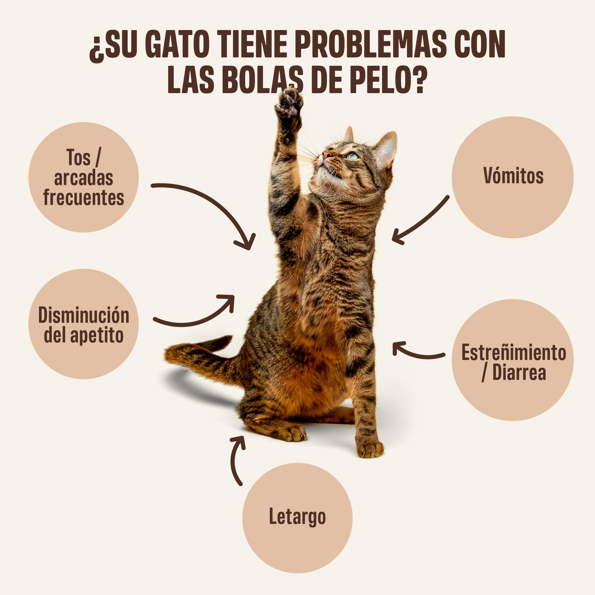 ivvi Anti Bolas de Pelo para Gatos – Anti-Hairball Esencia Crema Funcional con Malta, Olmo Rojo, inulina y psyllium – Ayuda a Eliminar Bolas de Pelo – 30x15g – con atún Real