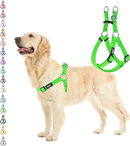 PUPTECK Arnés sin tirones para perro, suave, ajustable, de nailon básico, chaleco para cachorros, chaleco para caminar al aire libre con etiqueta de
