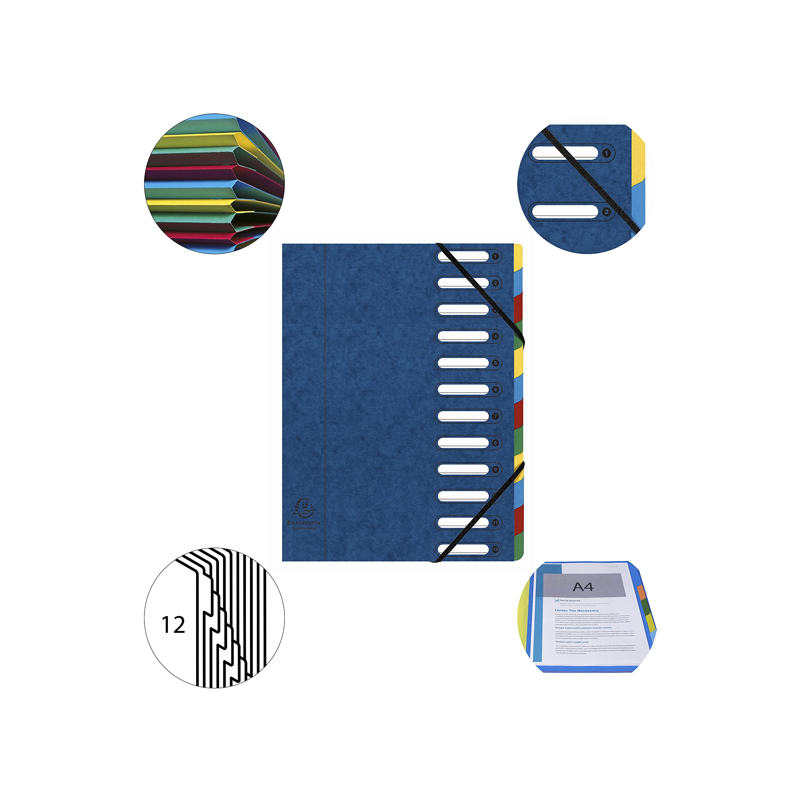 Exacompta 55122E 6er Pack Premium Ordnungsmappe Harmonika. Aus extra starkem Colorspan-Karton DIN A4 12 Fächer und 2 Gummizüge mit Indexfenster und dehnbarem Rücken Register-Mappe blau