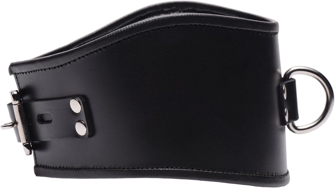 Padded Leather Locking Posture Collar