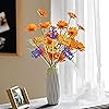 Product Photo 6