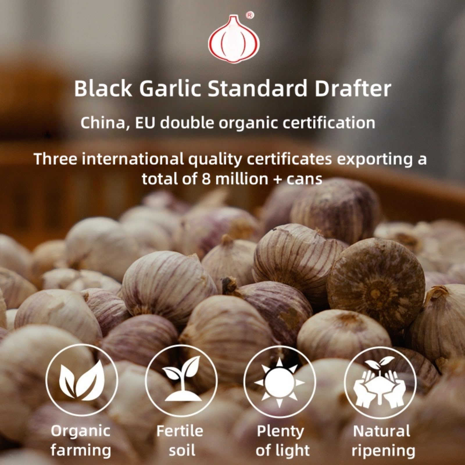 Organic Aged Black Garlic (90-Day Fermentation) - Canadian-Handpicked Multi-Clove, Ready-to-Eat Superfood, 8oz Resealable Pouch | Non-GMO