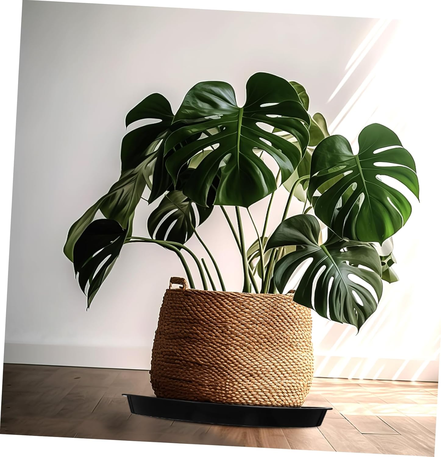 balacoo 10pcs Plant Saucers Sturdy Drip Trays for Indoor and Outdoor Garden Use for Flower Pots and Houseplants Design