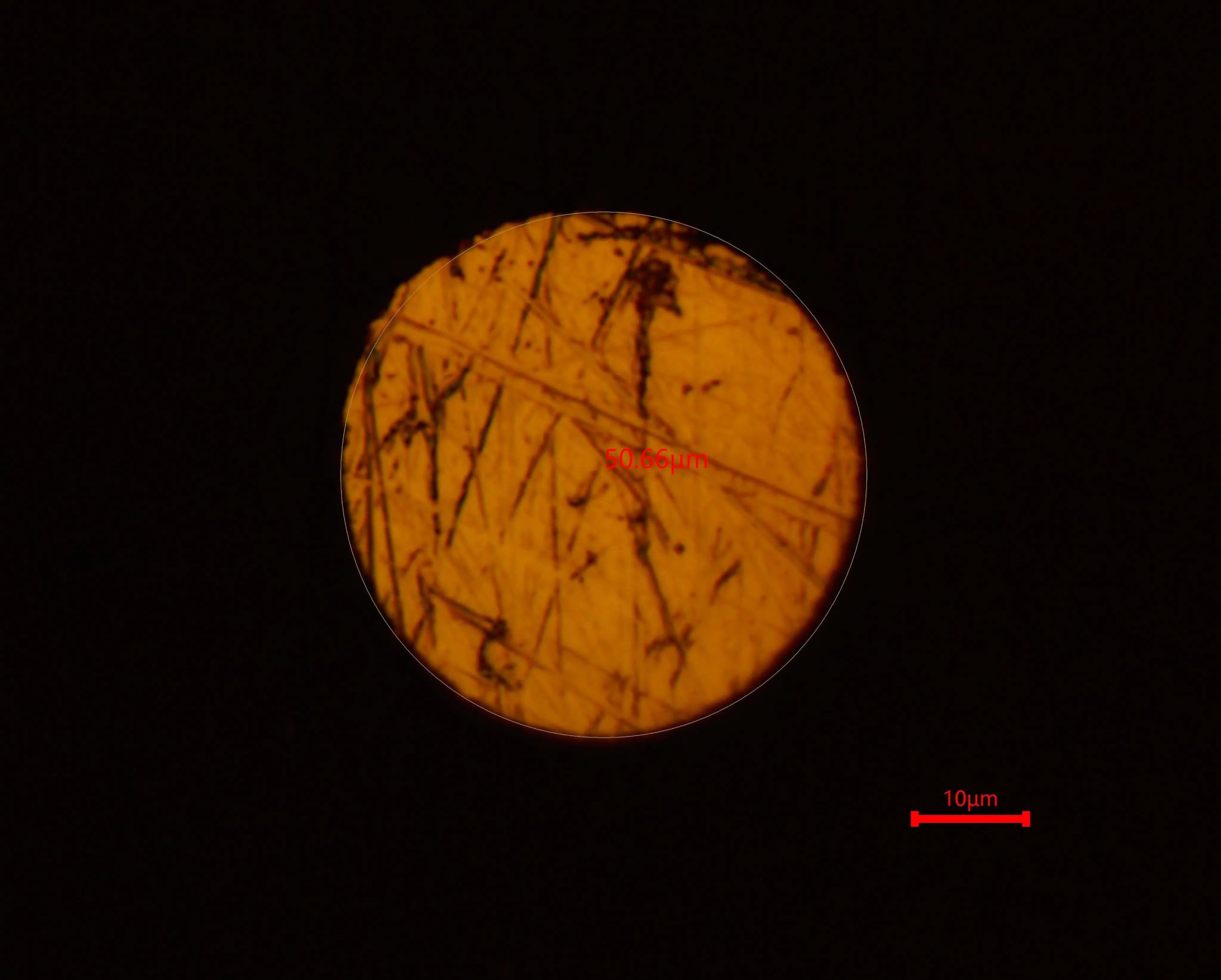 50-μm-Platin-Ultramikroelektrode mit 2 mm Außendurchmesser | Mit Borosilikatglas ummantelter Pt-Draht