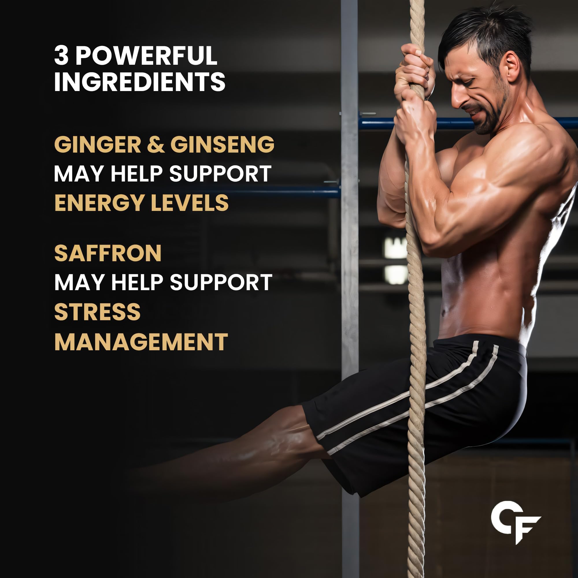 Carbamide Forte Shilajit Gummies For Men With Swarna Bhasma, Gokshura, Ashwagandha | Himalayan Shilajit For Men | Shilajeet | 60 Veg Gummies — Amazon image 6