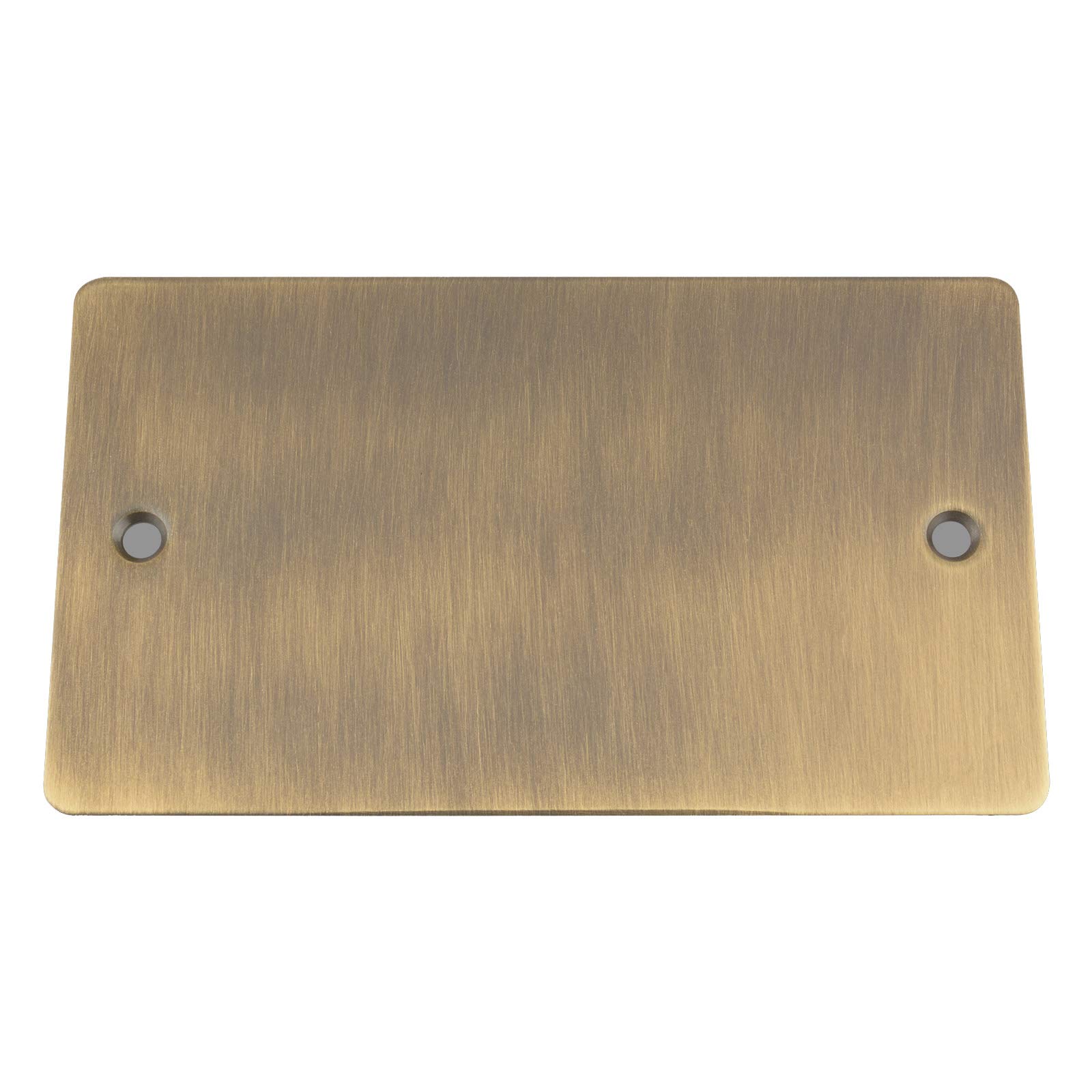 Antique Brass Flat Blank Plate Double