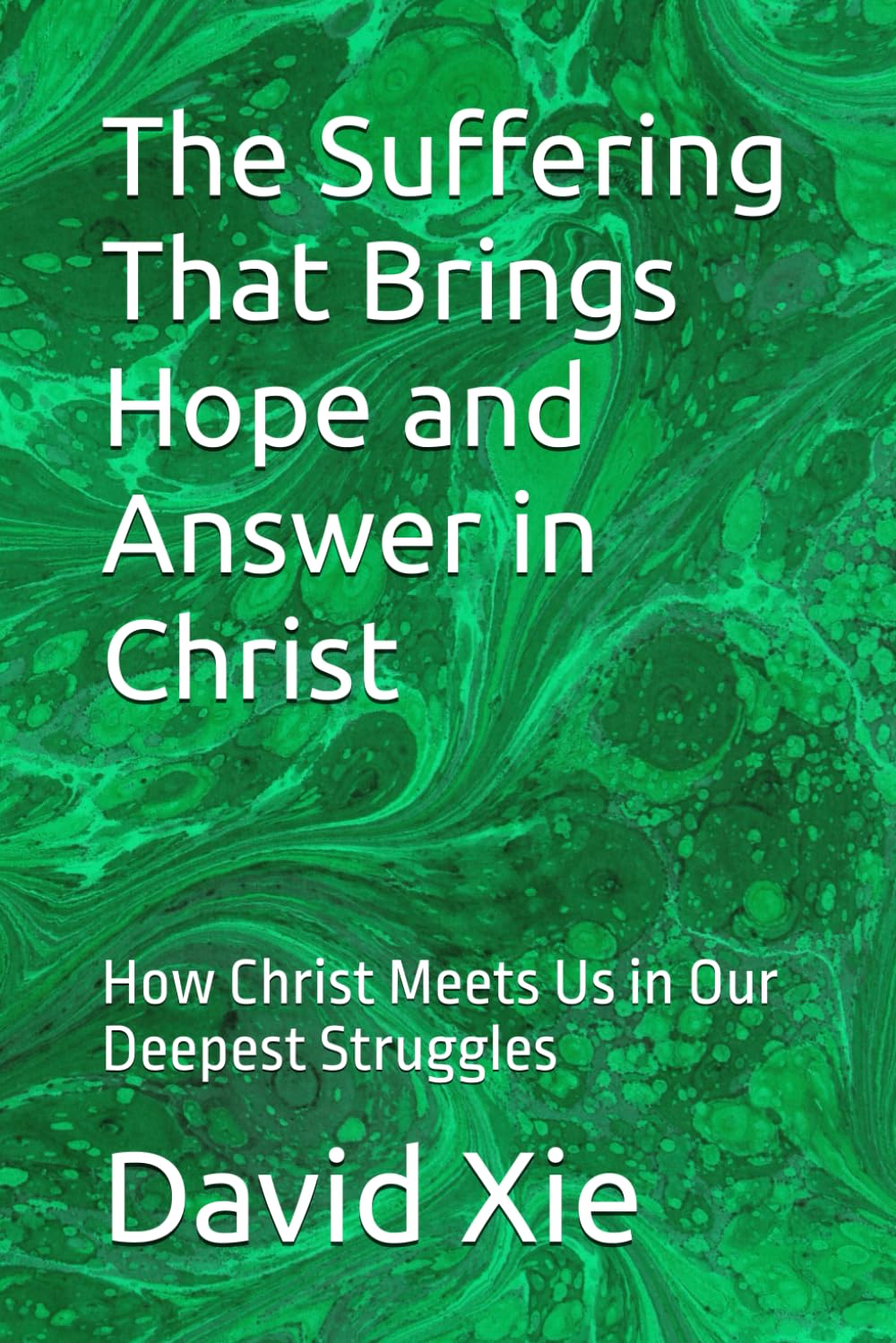 The Suffering That Brings Hope and Answer in Christ: How Christ Meets Us in Our Deepest Struggles