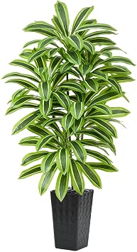 5FT Artificial Dracaena Plant, Large Artificial Plants with Black Tall Planter, 150cm Tall Fake Yucca Tree with Lifelike Leaves, Faux Tree for Indoor Outdoor Home Office Bedroom Modern Decor