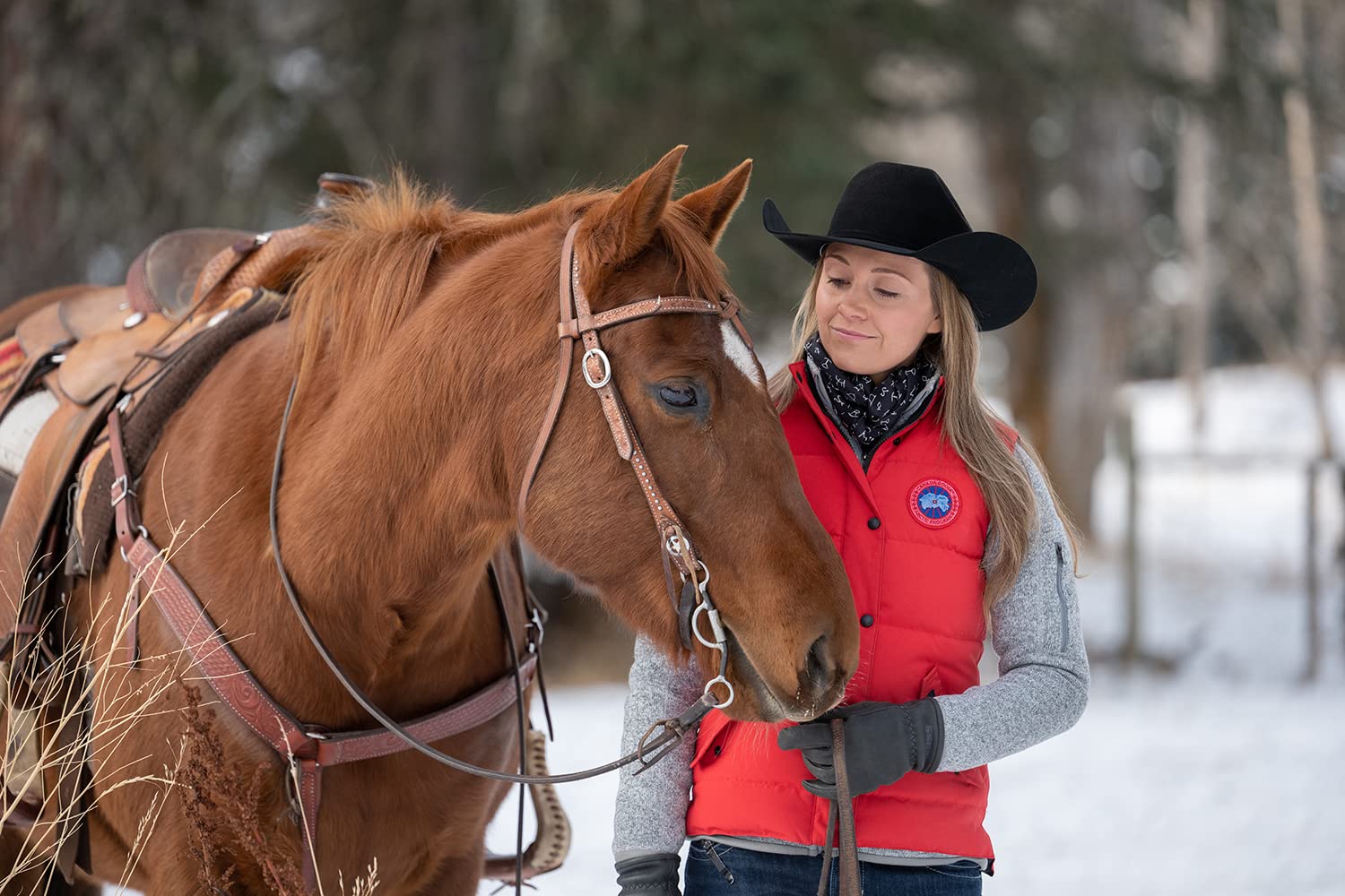Heartland - Paradies für Pferde - Staffel 14