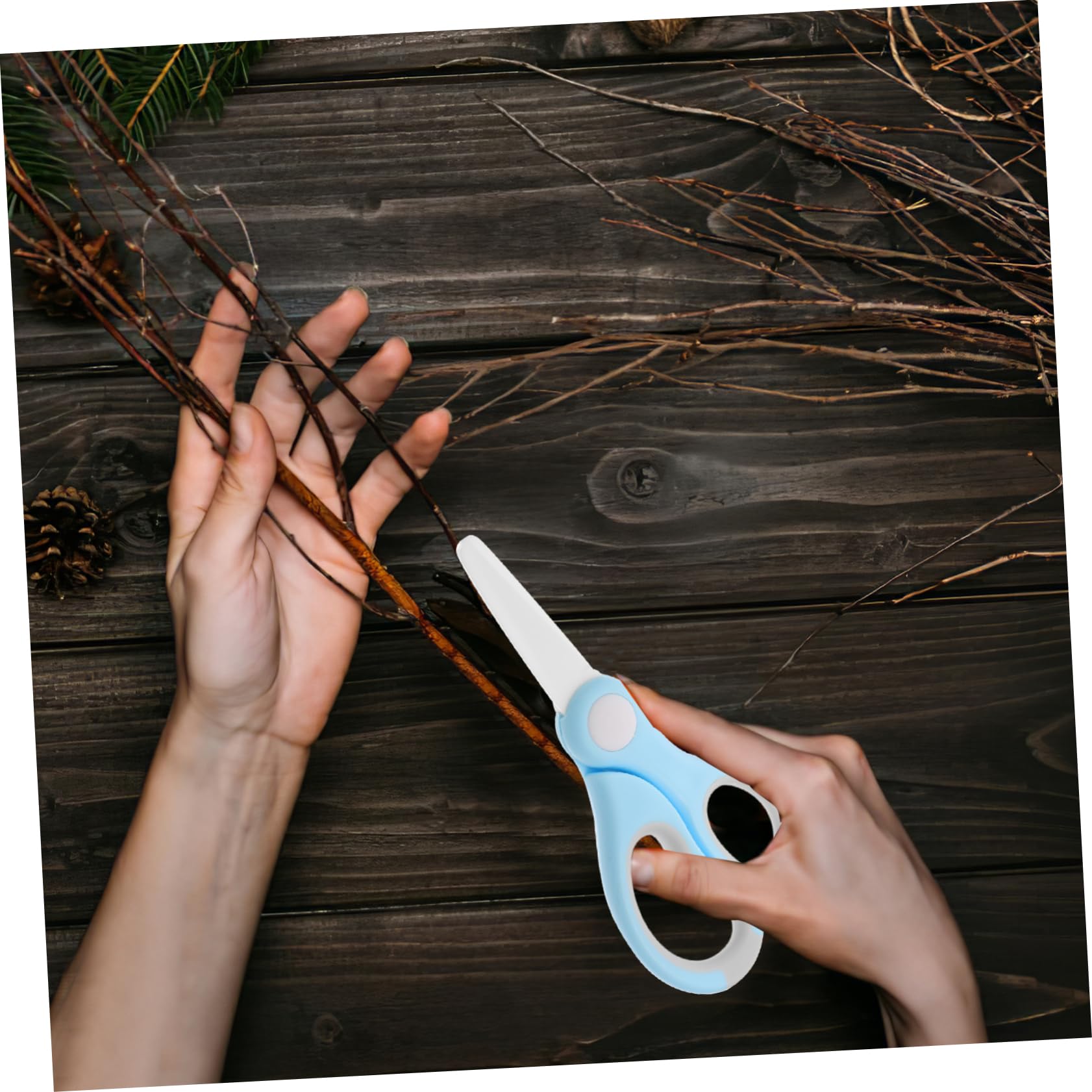 Forbici da Potatura Ceramiche per Fiori, Set 1 Pezzo con Impugnatura
