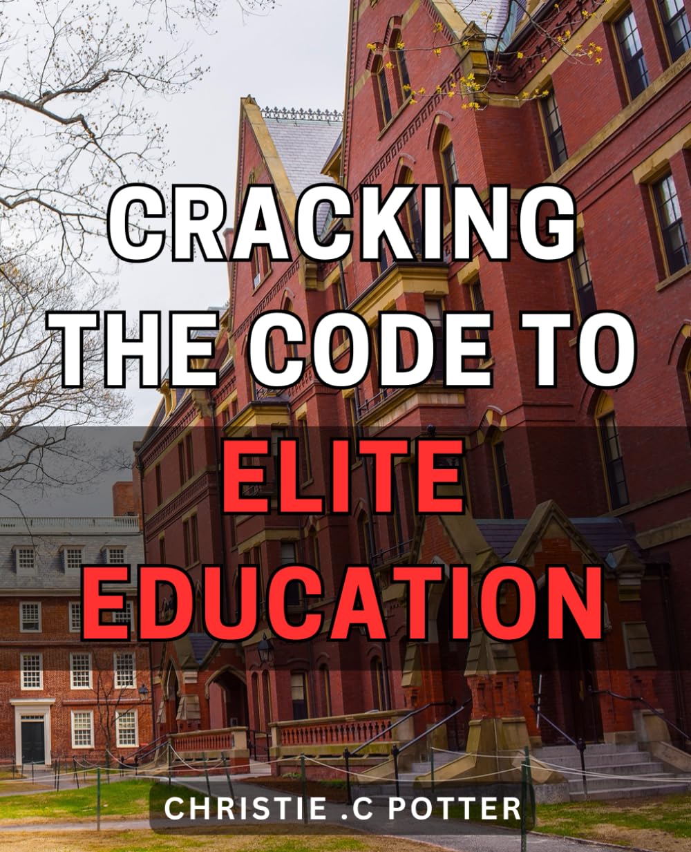 Cracking the Code to Elite Education: Unveiling the Secrets to Unlocking Elite Education: A Step-by-Step Guide to Achieving Academic Excellence