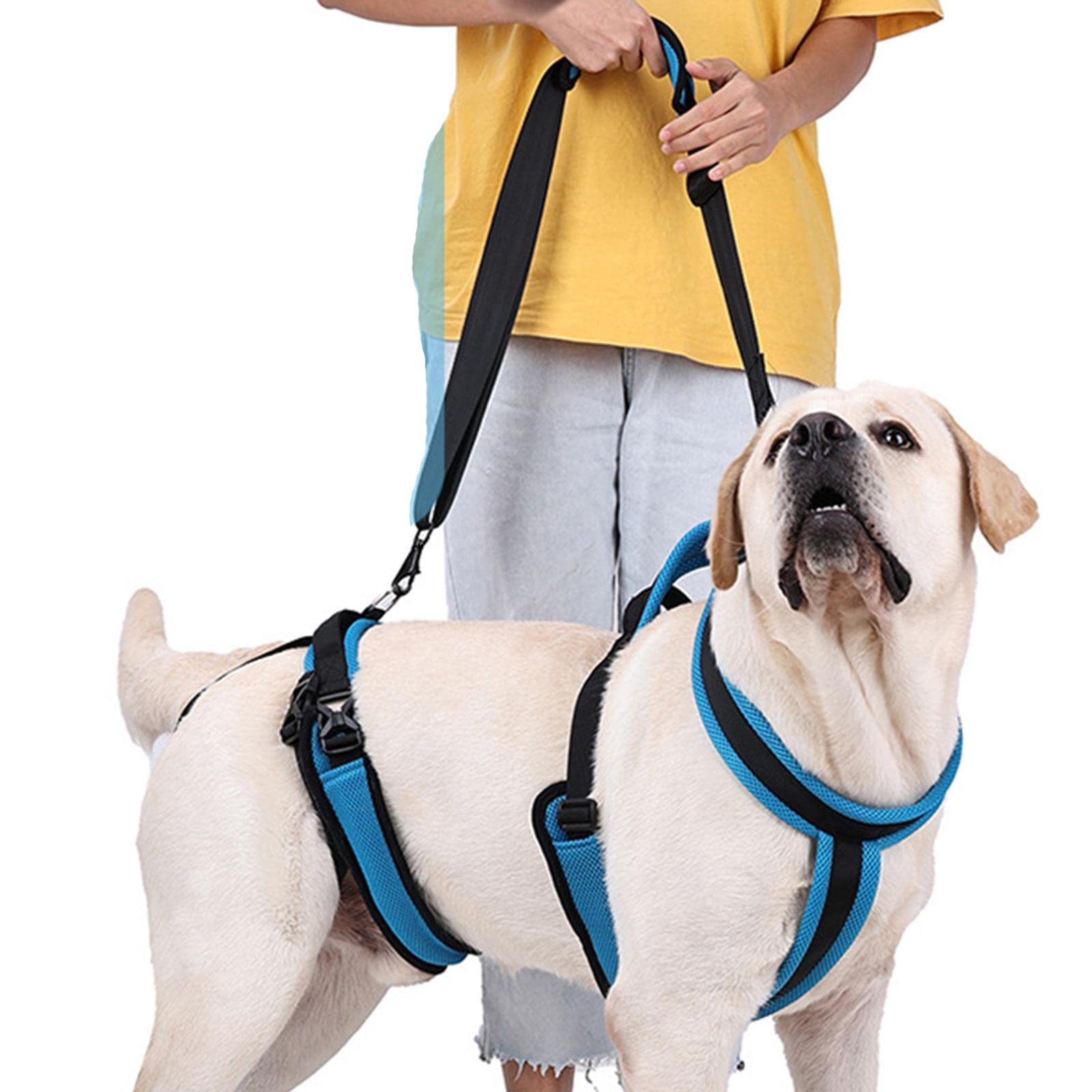 Arnés para Perros Arnés de Apoyo Ajustable Arnés de Asistencia para Patas Traseras Correa de Ayuda para Mascotas Material Poliéster Suave Adecuado Par, s