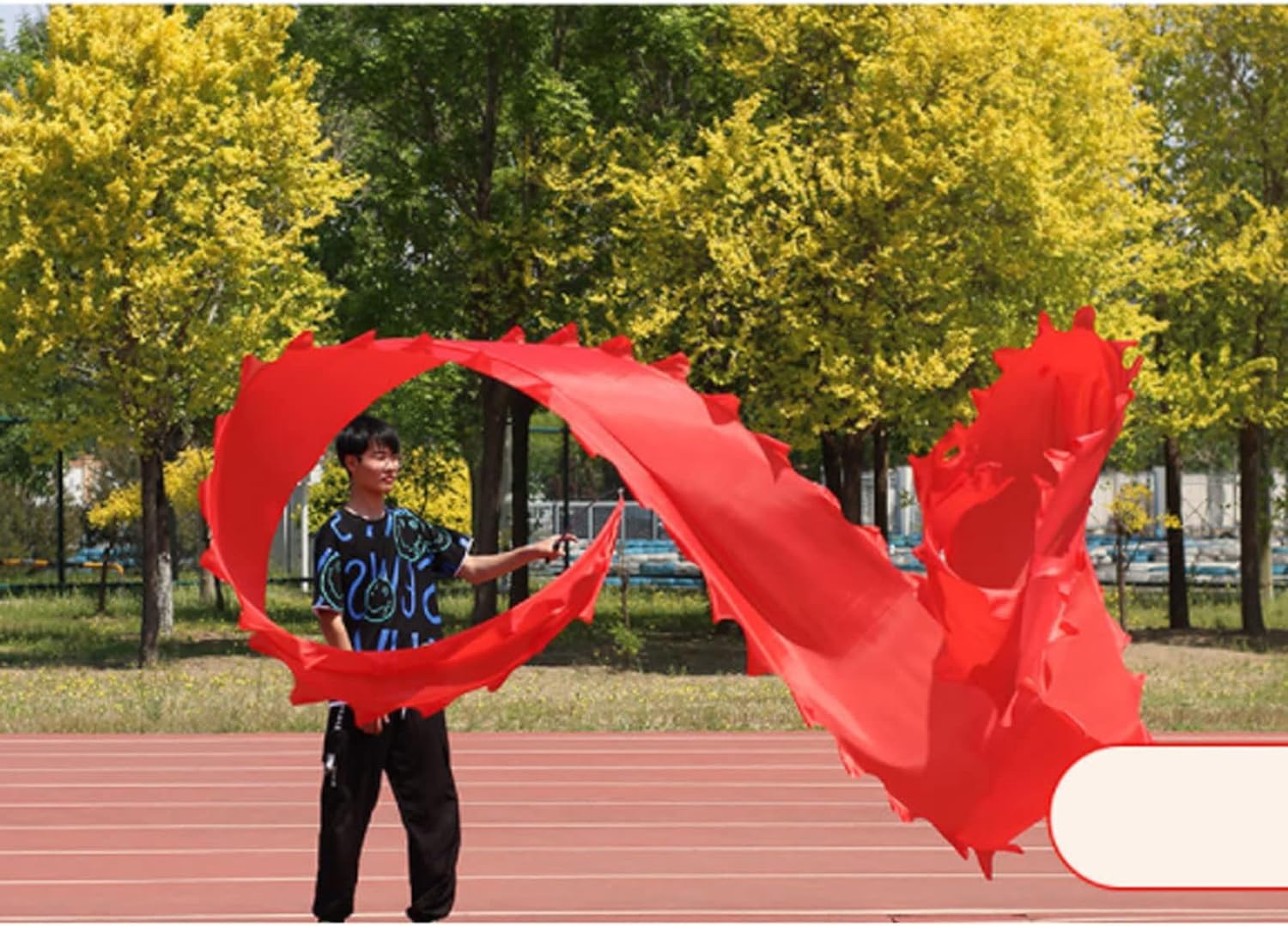Amazon.com: NMGMJQ Lion Dance Dragon Dance for Outdoor 6m/19.6ft