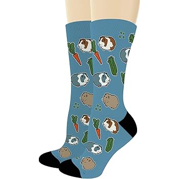 guinea pig socks