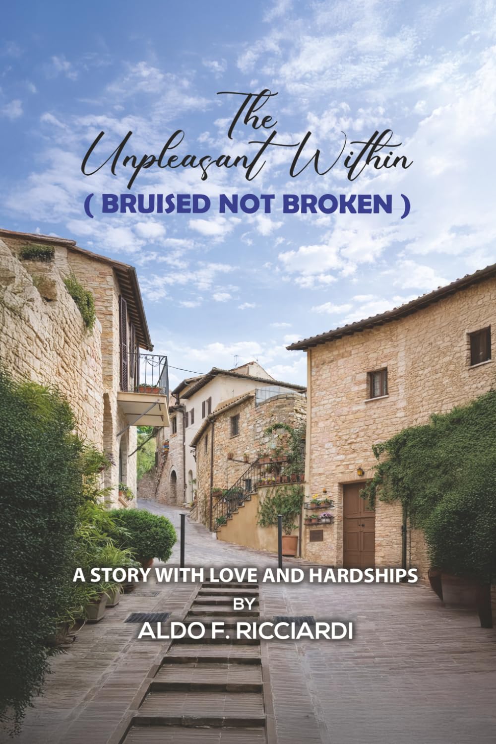 The Unpleasant Within (BRUISED NOT BROKEN): A STORY WITH LOVE AND HARDSHIPS