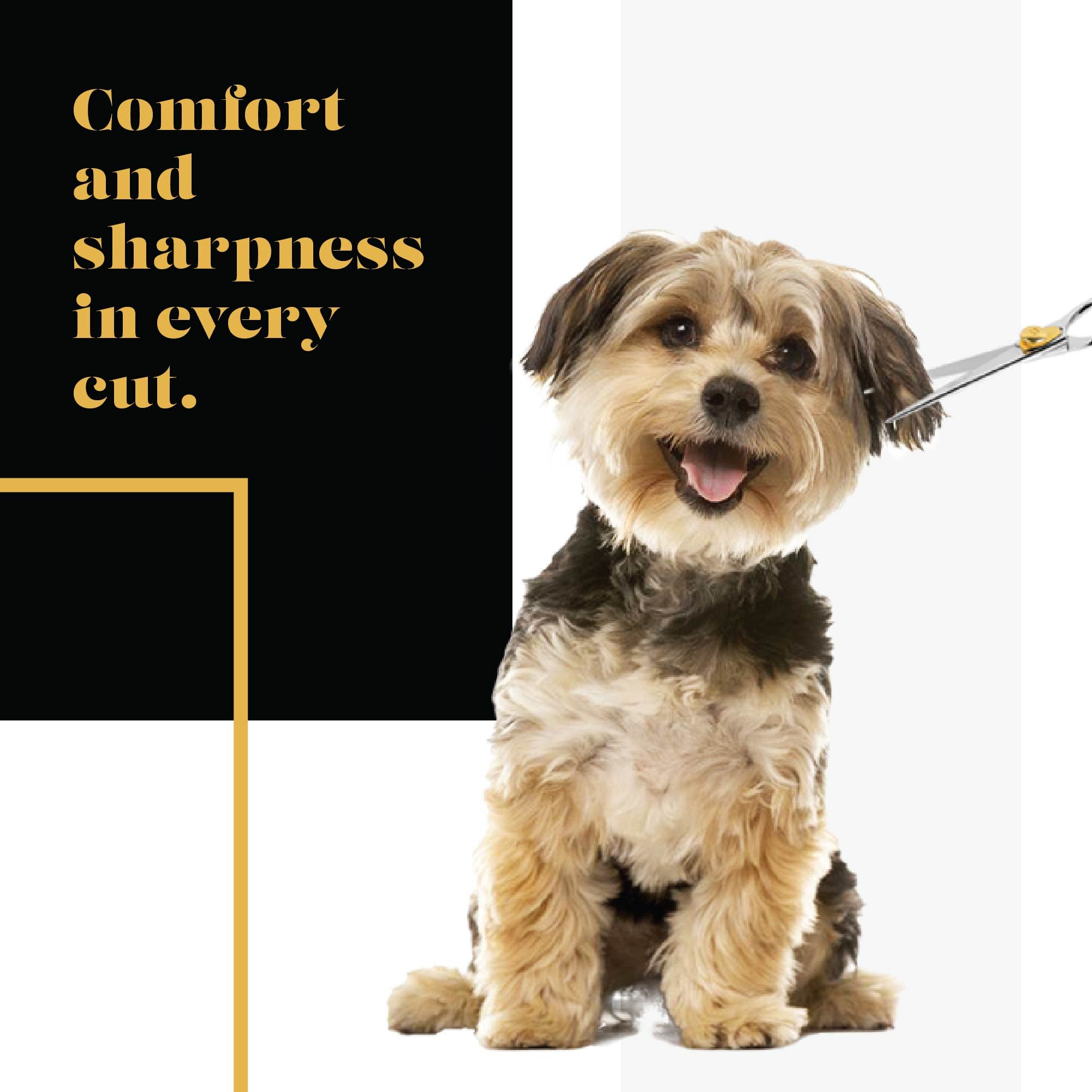 SHARF Gold Touch Tijeras de Peluquería Mascotas Cuchillas Rectas Acero Inoxidable 19 cm