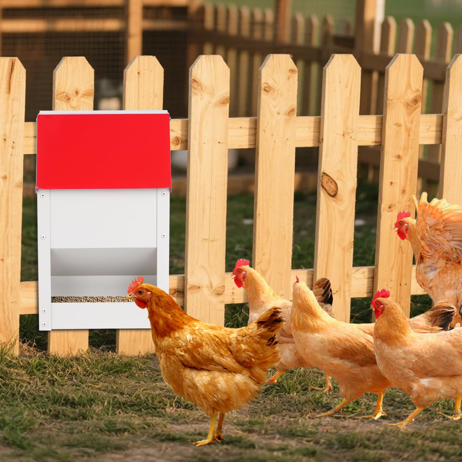 Comedero automático para pollos, 4,5 kg, de metal, comedero para gallinas, comedero para aves de corral con tapa, accesorio para gallinero, rojo (10 kg)