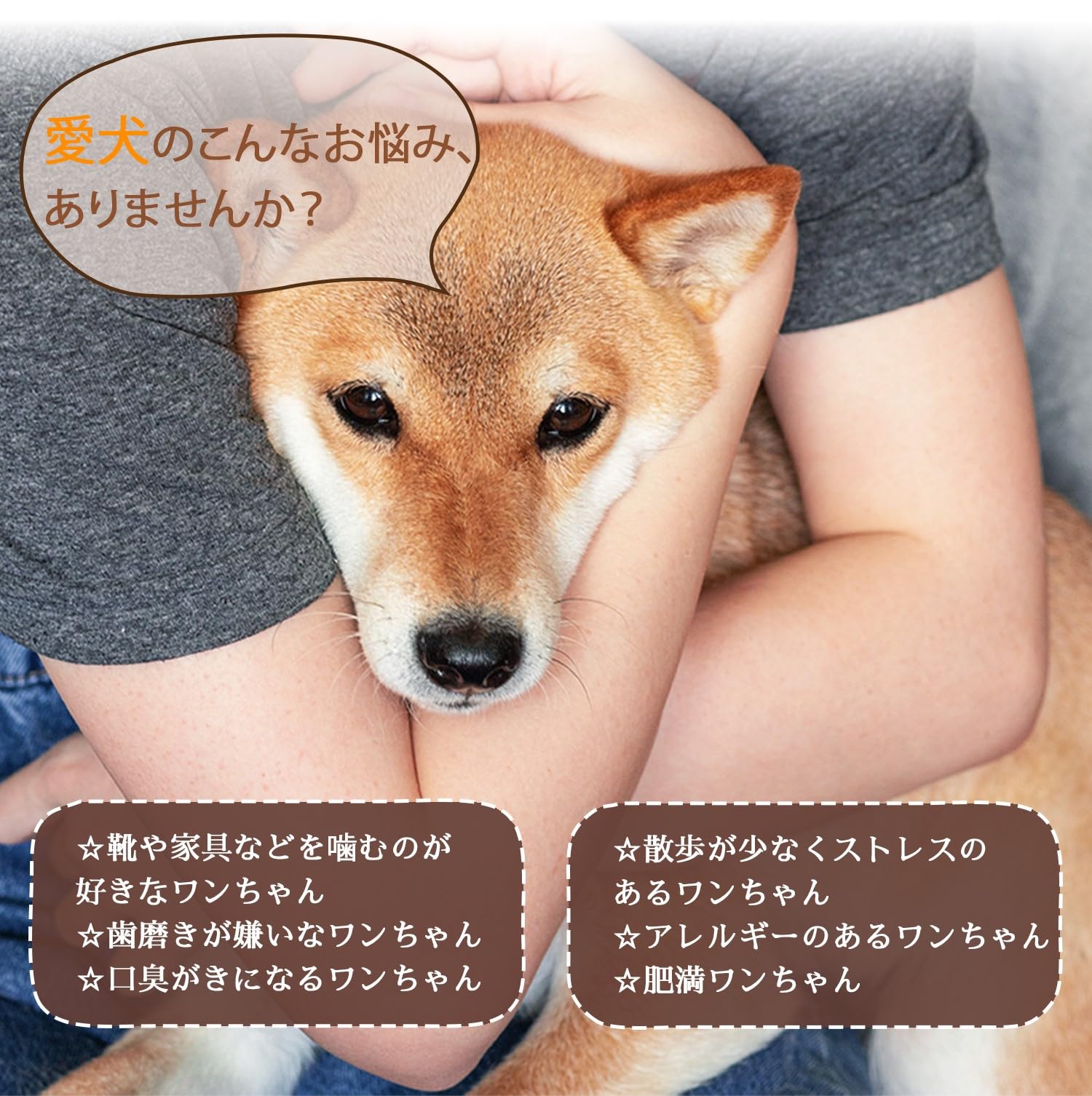 犬噛むおもちゃ ロープ付きコーヒー木 知育玩具 コーヒーの木 麻 歯清潔 Amazon | BETO PET 犬噛むおもちゃ ロープ付きコーヒー木 知育玩具