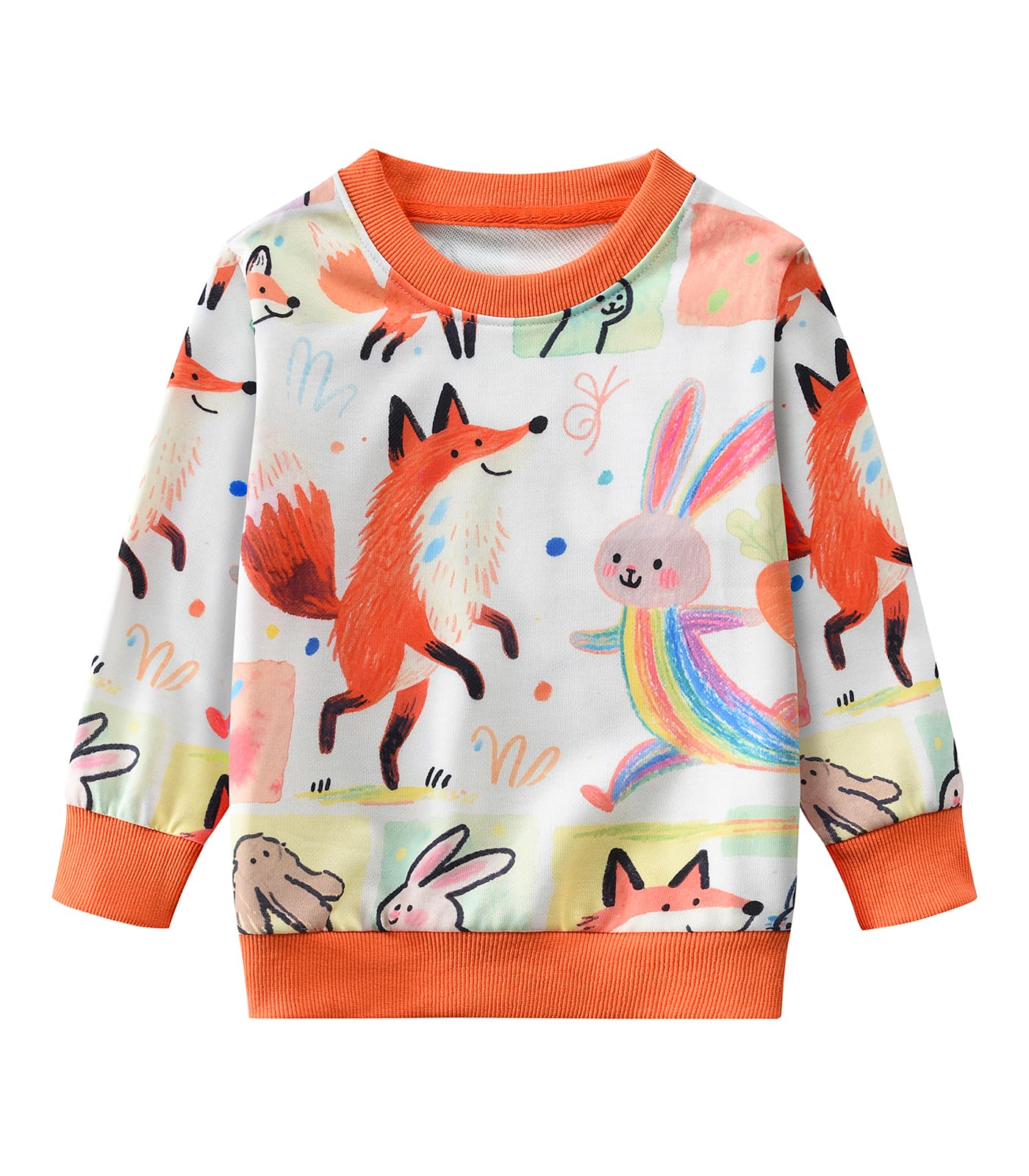 DHASIUE Sweatshirt Mädchen Langarmshirt Regenbogen Katzen Fuchs Schmetterlinge Pullover Kinder Winter Shirts Baumwolle Tops 4-10 Jahre Gr.104-134