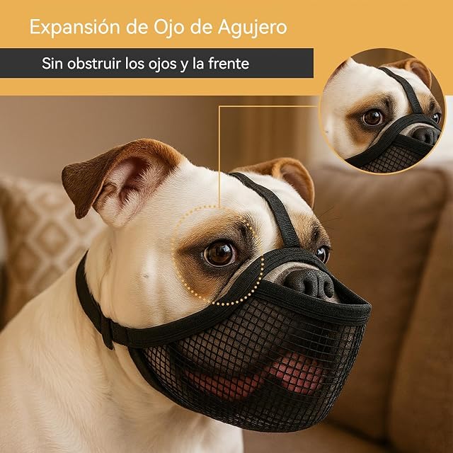 Foto 6 de 6 de Colenumone Bozal de bulldog francés