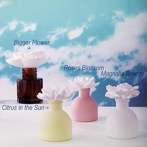 Miniatura 7 de Set de regalo de aroma para habitación, aceite esencial cítrico en el sol (1.7 onzas líquidas) y difusor, ambientador natural de 60 días no tóxico,