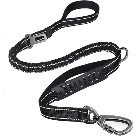 Heavy duty leashes for dogs Clearance