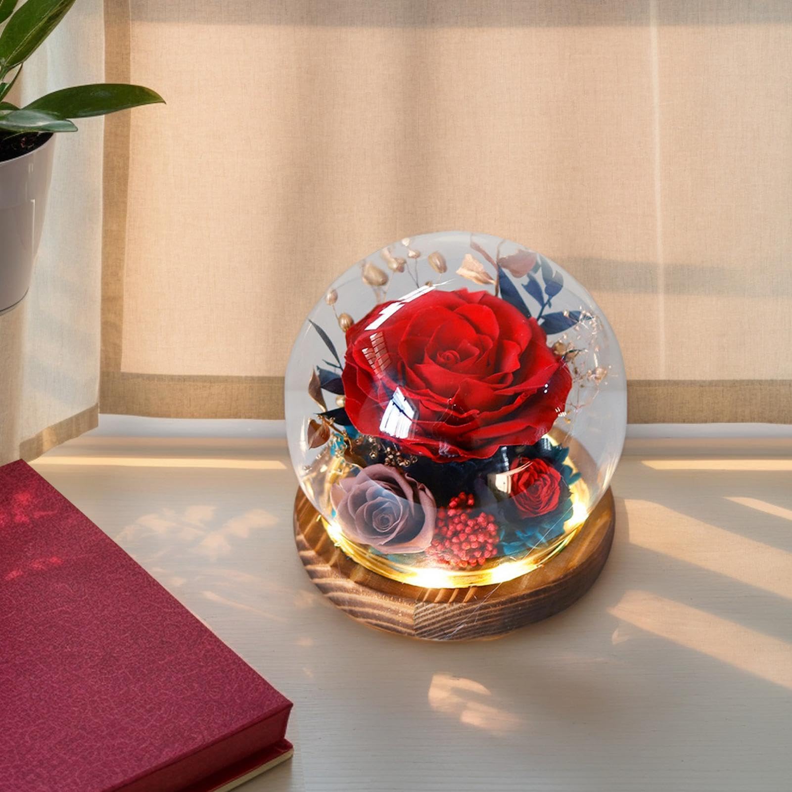 r0se Ornamenti – Fiori eterni in globo di, r0se eterno, conservato