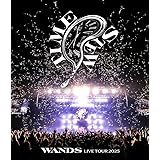 WANDS Live Tour 2025~TIME STEW~ [Blu-ray]
