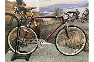 Feather Urban/Single Speed Bike 2022
