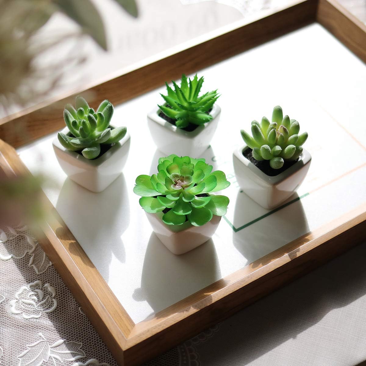iflove Artificial Mini Succulents Assorted Decorative - Set of 4 - Premium Potted Succulent Plants Artificial - Ideal for Home and Office Decor - Faux Cactus Cacti Aloe Plant with Ceramic Pots