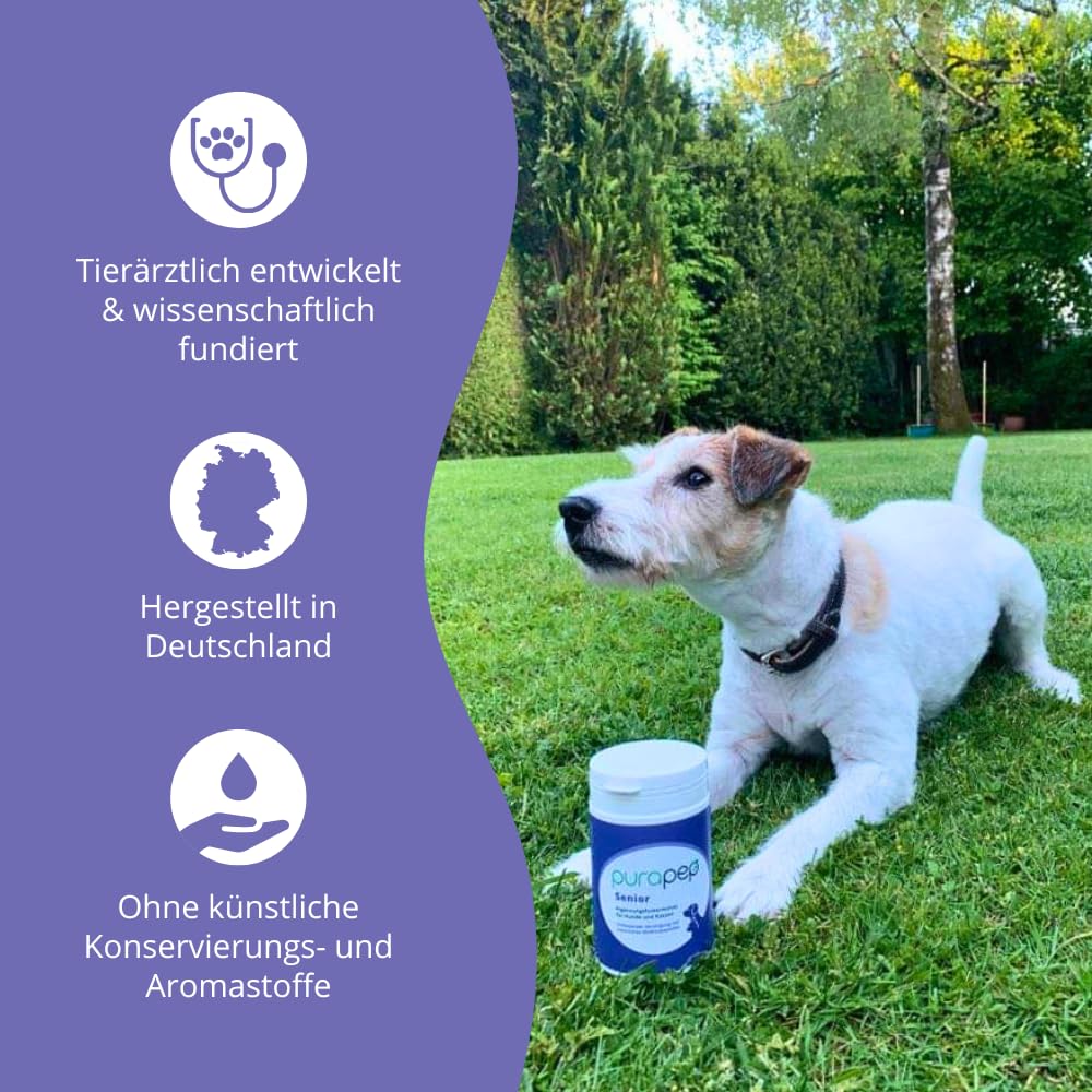Senior Power – 5-Fach Nährstoffkomplex mit Molkenprotein, Omega-3, Taurin & Vitaminen für Hunde & Katzen Senioren – Muskelaufbau & Fitness-Booster im Alter – Pulver | 280g