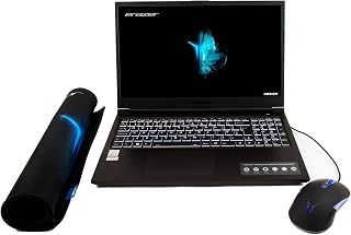 Medion ERAZER Crawler E10 Intel Core I5-10300H 8 GB 512 GB SSD 15.6" FHD NVIDIA GeForce GTX 1650 Gaming Laptop Bundle - Mouse And Mousepad, 30035109, Black