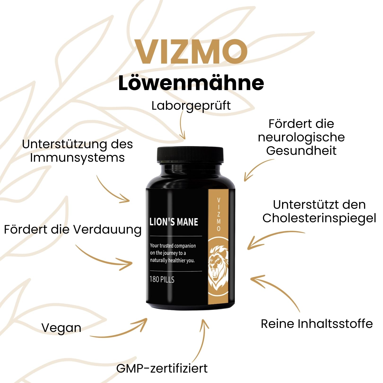 Kognitive Funktions- & Fokus-Stack (2-in-1) für Fokussuchende mit aktivem Lebensstil – Uridinmonophosphat & Löwenmähne-Pilzextrakt für tägliche mentale Klarheit und strukturierte Fokusunterstützung