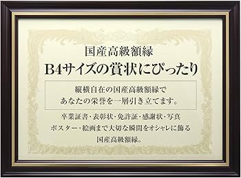 Amazon.co.jp: 【国産高級木製額縁】 医師免許証 (ダーク