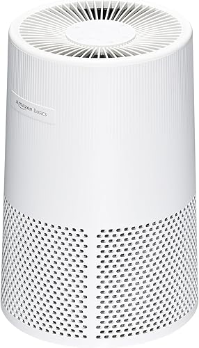 Tienda Basics Purificador de aire para el hogar y la oficina, con filtración de 3 etapas, filtro HEPA con carbón activado, 3 velocidades,