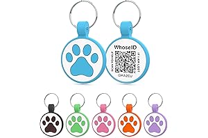QR Code Cat Tag: Customize Your Cat's Online Profile