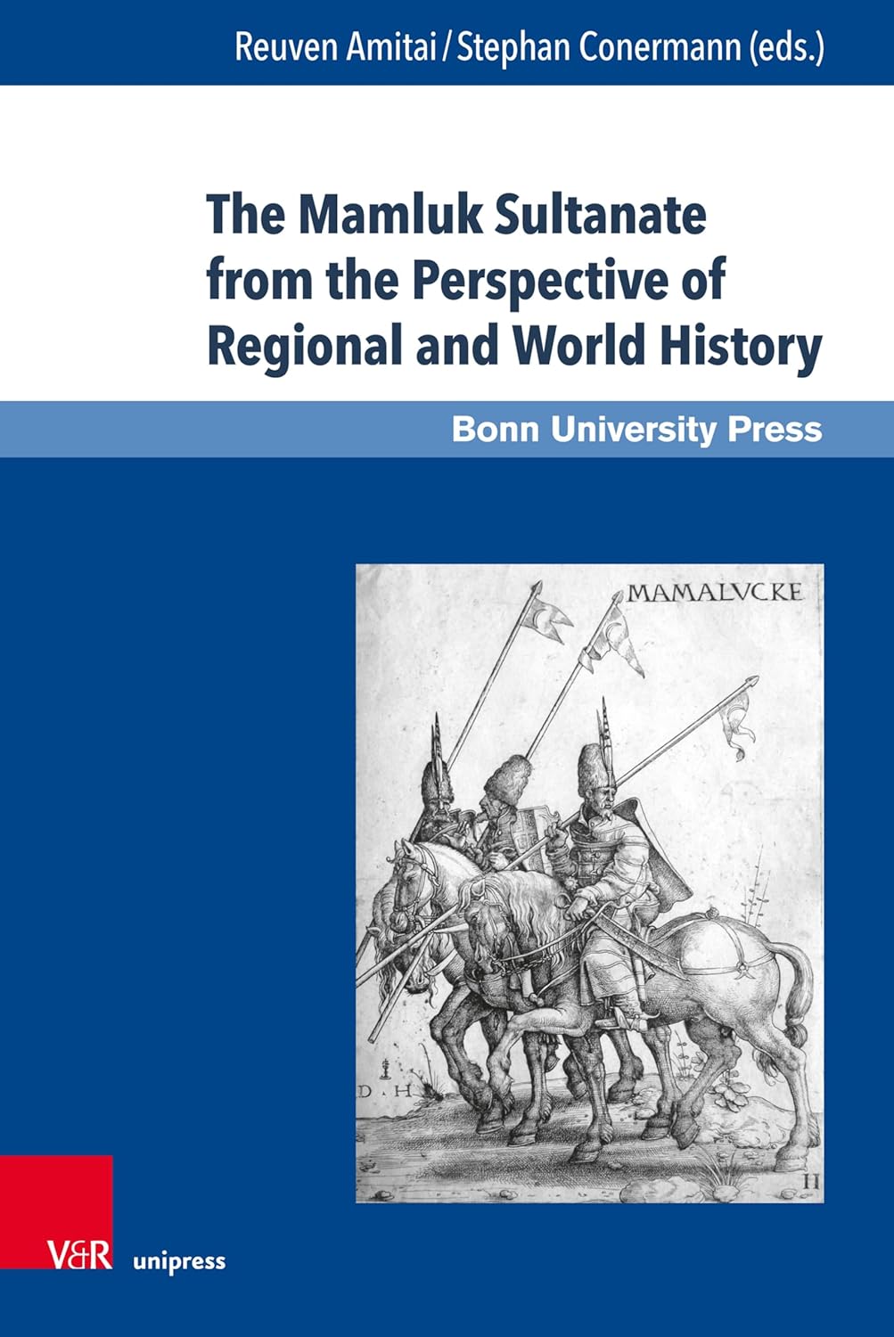 The Mamluk Sultanate from the Perspective of Regional and World History: Economic, Social and Cultural Development in an Era of Increasing International ... and Competition (Mamluk Studies Book 17)      [Print Replica] Kindle Edition