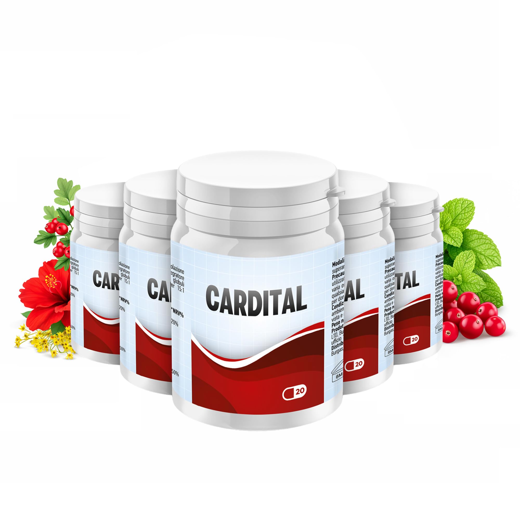 Integratore alimentare con L-Carnitina, Arginina, Magnesio e Vitamina B6 (5)