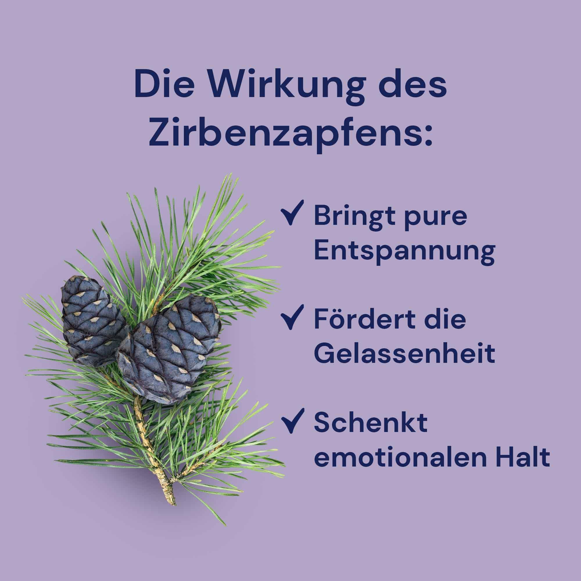 spitzner Saunaaufguss Zirbenzapfen 1 L (1000 ml) Hydro Sauna Aufguss Konzentrat