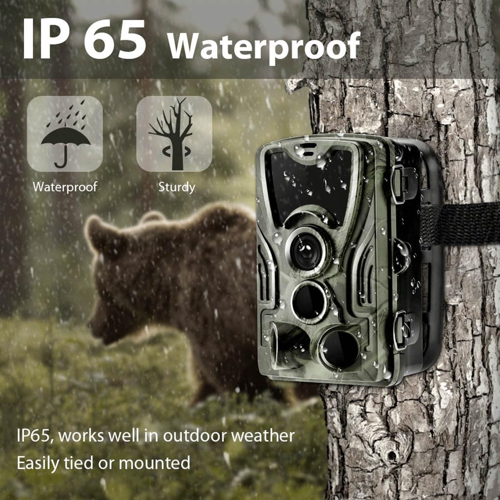 Caméra de chasse 2 pouces détection de mouvement étanche professionnelle 36 LED 20MP caméras de photographie d'animaux sauvages