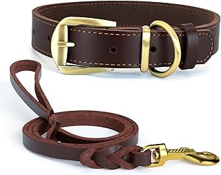 Ensemble Collier et Laisse pour Chien en Cuir Véritable Pur L+120cm - Laisse Tressée à la Main et Collier Robuste en Cuir Pleine Fleur - Design Artisanal Durable pour Chiens