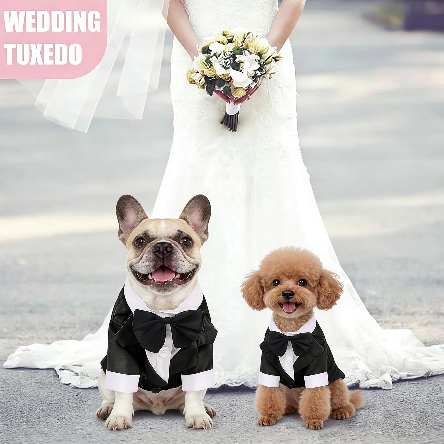 formal dress for dogs Parisian Pet main image 1