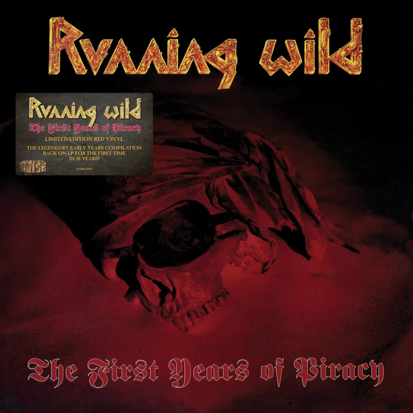 The First Years of Piracy [VINYL]
