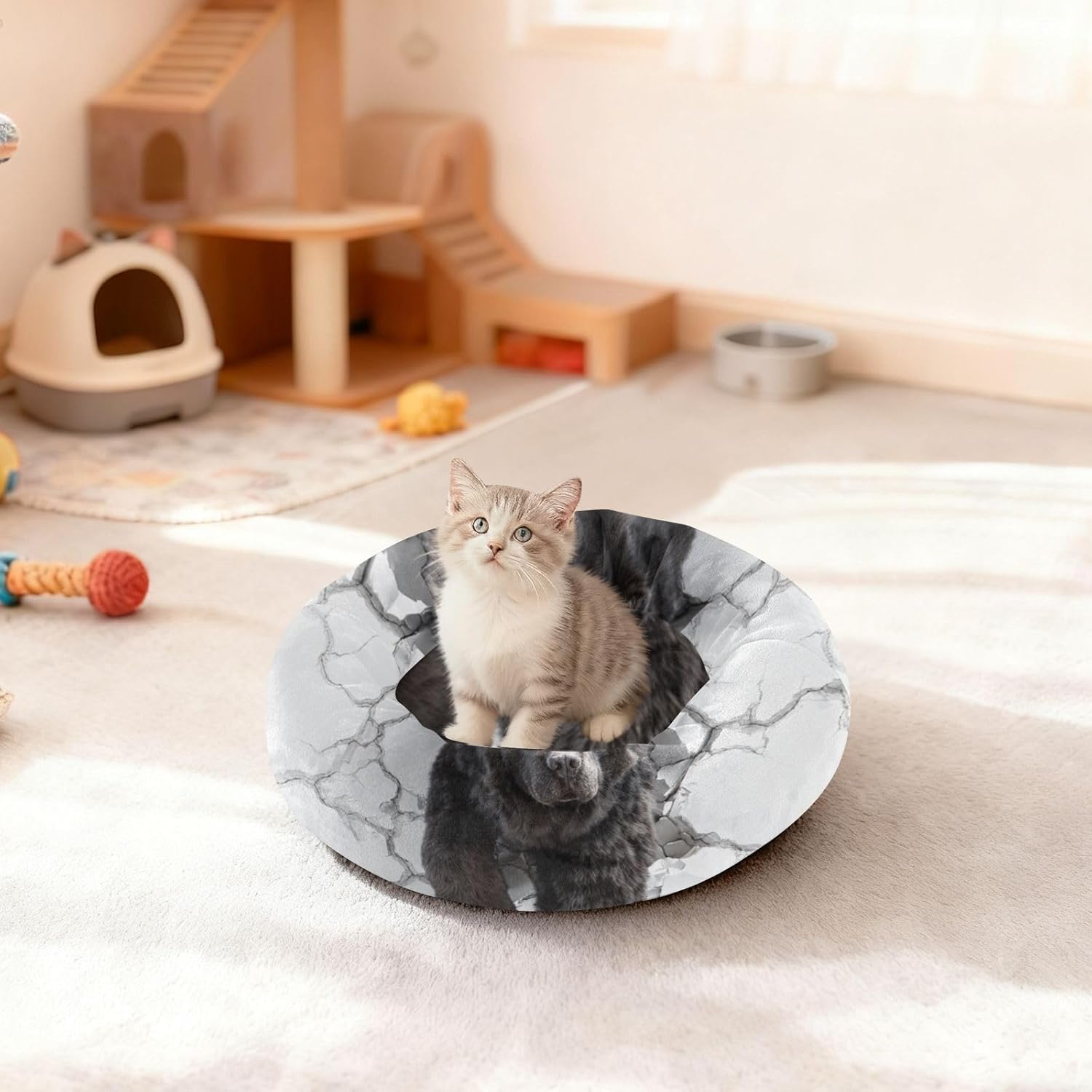 Black Dog Marble Wall Pet Cat Beds Donut Cuddler Dog Pillow Bed for Extra Small Size Pets Supplies M