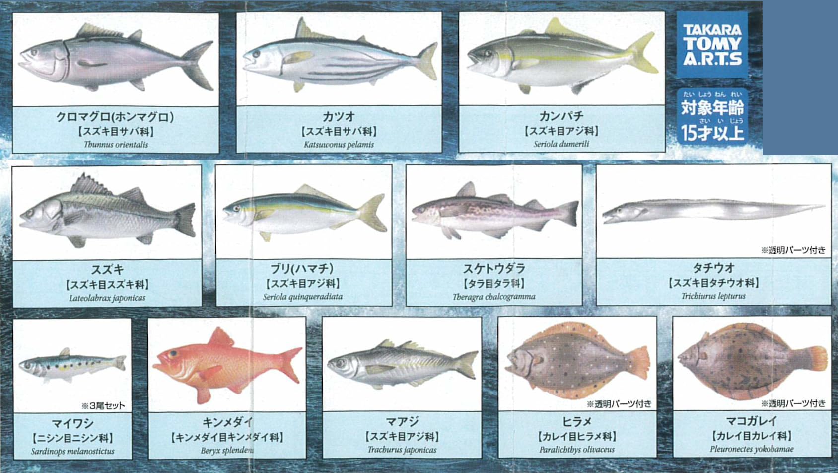 海水魚図鑑セット 増補改訂フィールドベスト図鑑『日本の海水魚』 ｜ 学研出版サイト