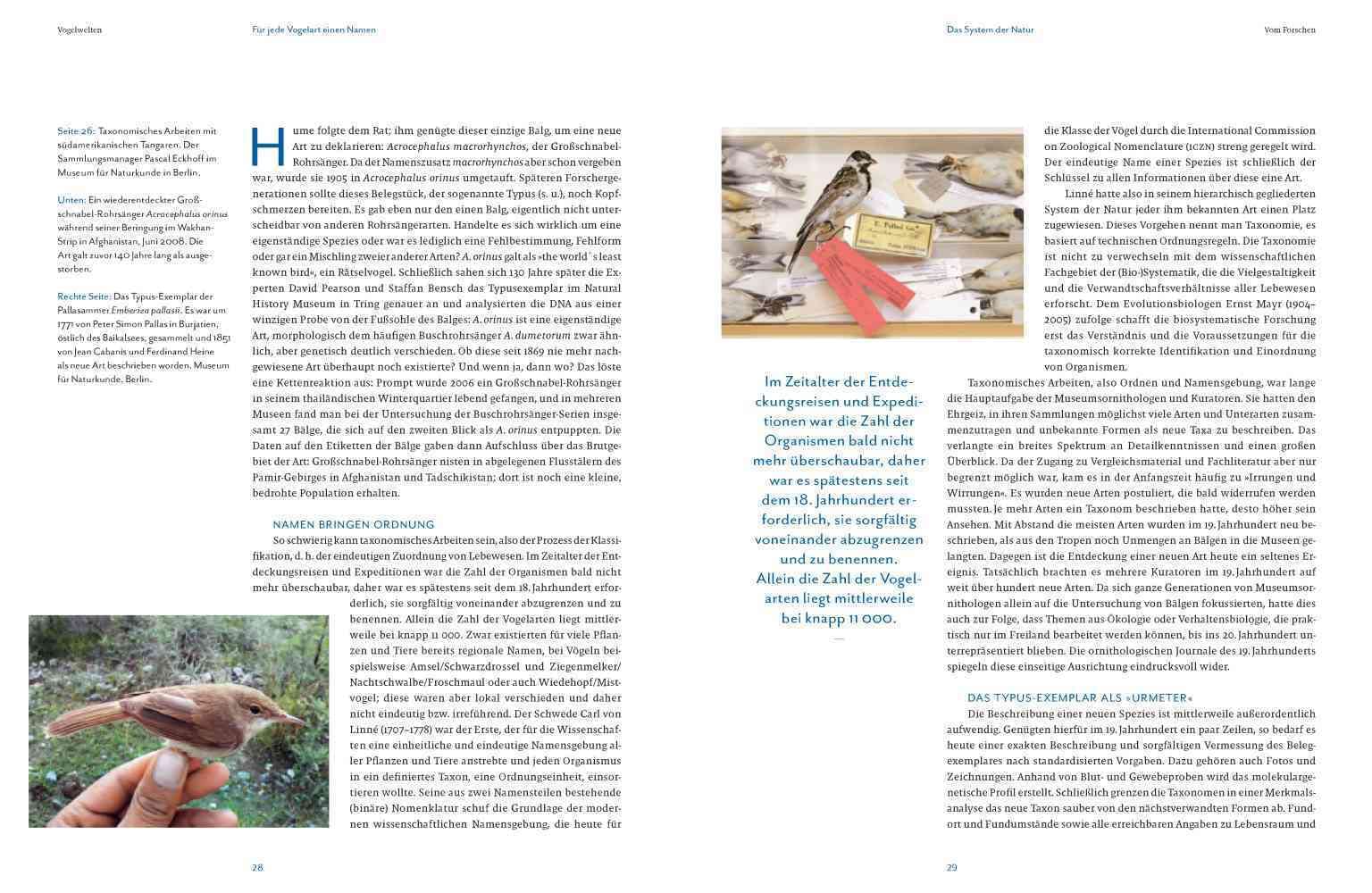 Vogelwelten: Expeditionen ins Museum