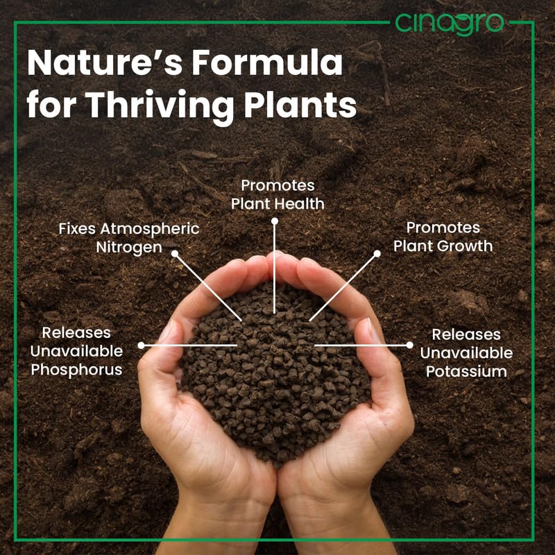 Image of Cinagro Organic Manure for Plants (1 Kg), 100% Natural Cow Dung Fertilizer, Fine Powder Compost, Soil Enricher for Home & Garden, Boosts Growth, Fixes Nitrogen, Releases Phosphorus & Potassium