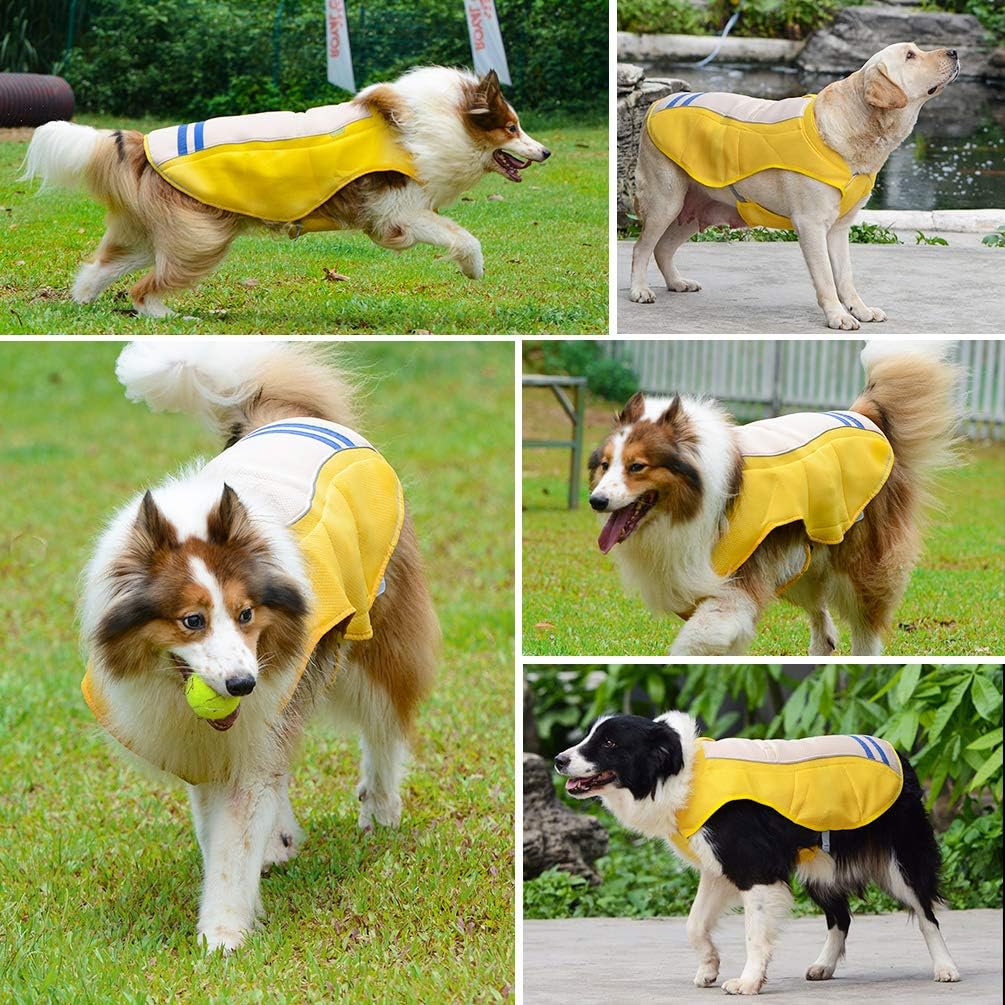 dog cooling vest amazon